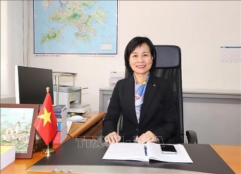 hanh trinh tim duong cuu nuoc cua chu tich ho chi minh qua goc nhin quoc te