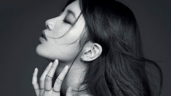 tu vi hom nay 204 ve cong viec cua 12 con giap tuoi mao can nhiet huyet