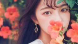 tu vi chiem tinh ngay 47 ve cong viec cua 12 con giap tuoi dan ngap chim trong cong viec