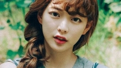 tu vi chiem tinh ngay 57 ve cong viec cua 12 con giap tuoi mao phan van