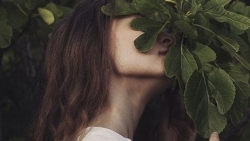 tu vi chiem tinh ngay 157 cua 12 con giap tuoi hoi cang thang ngay dau tuan