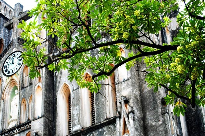 Tháng 8 nên đi du lịch ở đâu là đẹp nhất?