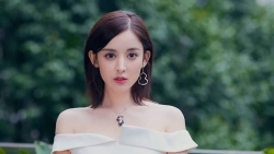 tu vi chiem tinh ngay 88 ve cong viec cua 12 con giap tuoi tuat lang dang