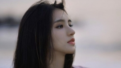 tu vi chiem tinh ngay 318 ve cong viec cua 12 con giap tuoi dan co dong luc