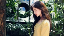 chiem tinh ngay 151 ve cong viec cua 12 con giap tuoi suu kiet suc