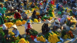 can canh cho tet o lang que viet binh di nhung day khong khi tet