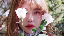 chiem tinh ngay 291 ve cong viec cua 12 con giap tuoi thin can ky luat