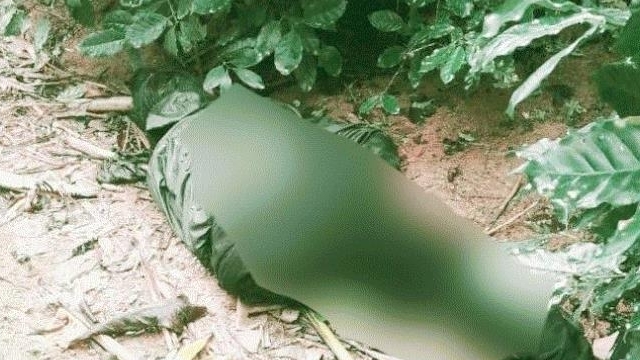 thu tuyet menh cua ke thu ac ban 3 me con o quang tri do mau thuan tinh cam