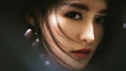 chiem tinh ngay 311 ve cong viec cua 12 con giap tuoi ngo thieu chuyen nghiep