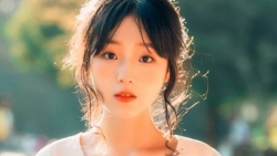 chiem tinh ngay 12 ve cong viec cua 12 con giap tuoi mui ban ron