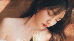 chiem tinh ngay 102 ve cong viec cua 12 con giap tuoi mao hieu suat thap