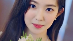 chiem tinh ngay 162 ve cong viec cua 12 con giap tuoi dau chan viec