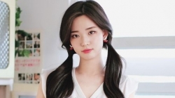 chiem tinh ngay 63 ve cong viec cua 12 con giap tuoi thin nhieu tin hieu tich cuc