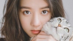 chiem tinh ngay 83 ve cong viec cua 12 con giap tuoi thin muon thu thach