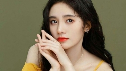 chiem tinh ngay 123 ve cong viec cua 12 con giap tuoi dau nhieu y tuong