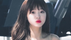 chiem tinh ngay 203 ve cong viec cua 12 con giap tuoi thin loay hoay