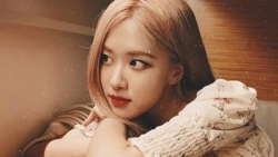 chiem tinh ngay 74 ve cong viec cua 12 con giap tuoi dau bi y tuong