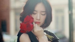 chiem tinh ngay 104 ve cong viec cua 12 con giap tuoi ty cong viec troi chay