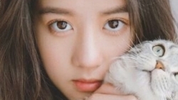 chiem tinh ngay 174 ve cong viec cua 12 con giap tuoi ty gap kho khan trong cong viec