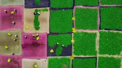 2 buc anh cua nhiep anh gia viet lot top anh dep nhat the gioi