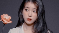 chiem tinh ngay 254 ve tinh yeu cua 12 con giap tuoi ty tu chu