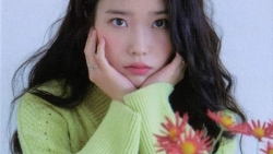 chiem tinh ngay 244 ve cong viec cua 12 con giap tuoi ty gap rac roi