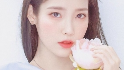 chiem tinh ngay 155 ve cong viec cua 12 con giap tuoi mao co chut khoi sac