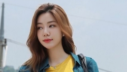 chiem tinh ngay 185 ve cong viec cua 12 con giap tuoi ngo it quan tam chuyen tinh cam