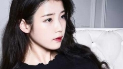 chiem tinh ngay 215 ve cong viec cua 12 con giap tuoi dau xung dot