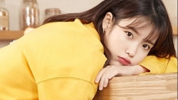 chiem tinh ngay 225 ve cong viec cua 12 con giap tuoi dau bi y tuong