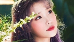 chiem tinh ngay 235 ve cong viec cua 12 con giap tuoi hoi doi dien thi phi