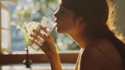 tu vi chiem tinh ngay 69 ve cong viec cua 12 con giap tuoi mao duoi suc dan