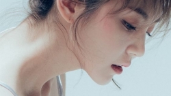 tu vi chiem tinh ngay 99 ve tinh yeu cua 12 con giap tuoi dan bi phan boi