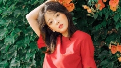 tu vi chiem tinh ngay 139 ve cong viec cua 12 con giap tuoi thin can tap trung