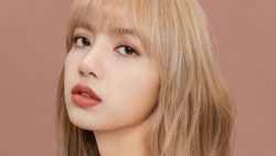 chiem tinh ngay 0210 ve cong viec cua 12 con giap tuoi dau met moi