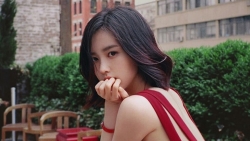 chiem tinh ngay 2010 ve cong viec cua 12 con giap tuoi dan cang thang