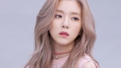 chiem tinh ngay 3110 ve tinh yeu cua 12 con giap tuoi dau co don