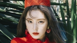 chiem tinh ngay 111 ve cong viec cua 12 con giap tuoi tuat lam cho co