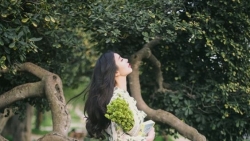 chiem tinh ngay 1311 cua 12 con giap tuoi hoi can than keo va cham