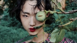 chiem tinh ngay 2111 cua 12 con giap tuoi hoi dau dau vi nghi ngoi