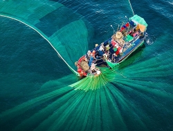 Việt Nam tuyệt đẹp nhìn từ không ảnh trong cuộc thi ảnh quốc tế