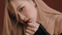 chiem tinh ngay 1312 ve cong viec cua 12 con giap tuoi mui vat va nhung thieu hieu qua