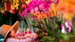 cho hoa tet little sai gon my don hang tram luot khach moi ngay