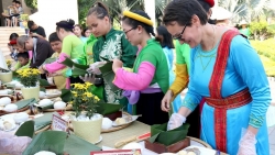 hon 100 du khach quoc te tham gia le hoi banh chung nam 2020 tinh binh thuan