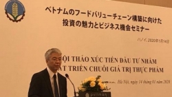 jica chu trong phat trien chuoi gia tri thuc pham sach giup nong dan viet nam lam giau