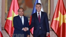 viet nam sec trao doi dien mung nhan ky niem 70 nam thiet lap quan he ngoai giao