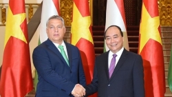 Lãnh đạo hai nước trao đổi điện mừng kỷ niệm 70 năm quan hệ ngoại giao Việt Nam-Hungary
