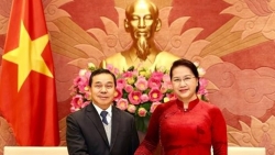 dai su lao tai viet nam khang dinh se no luc thuc day quan he hop tac va phat trien hai nuoc