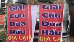 doanh nghiep han quoc mo chien dich giai cuu nong san viet nam