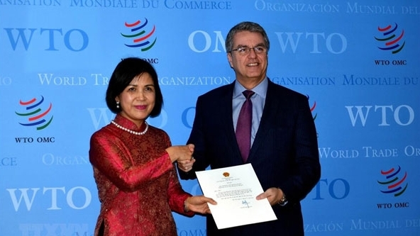 viet nam cam ket la thanh vien tich cuc va co trach nhiem cua wto